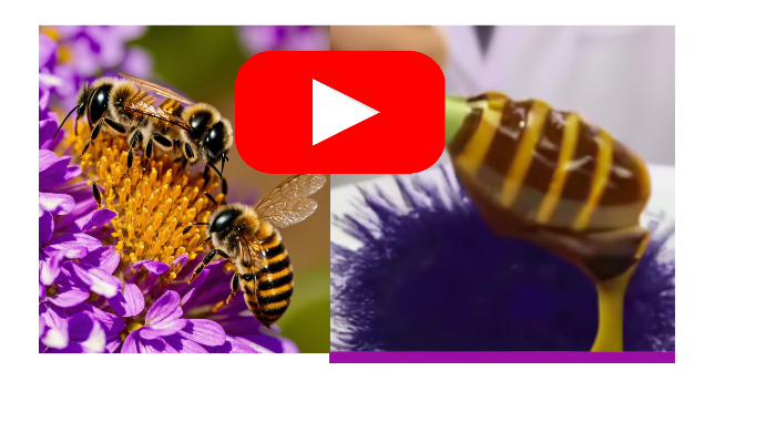 Honey Burn